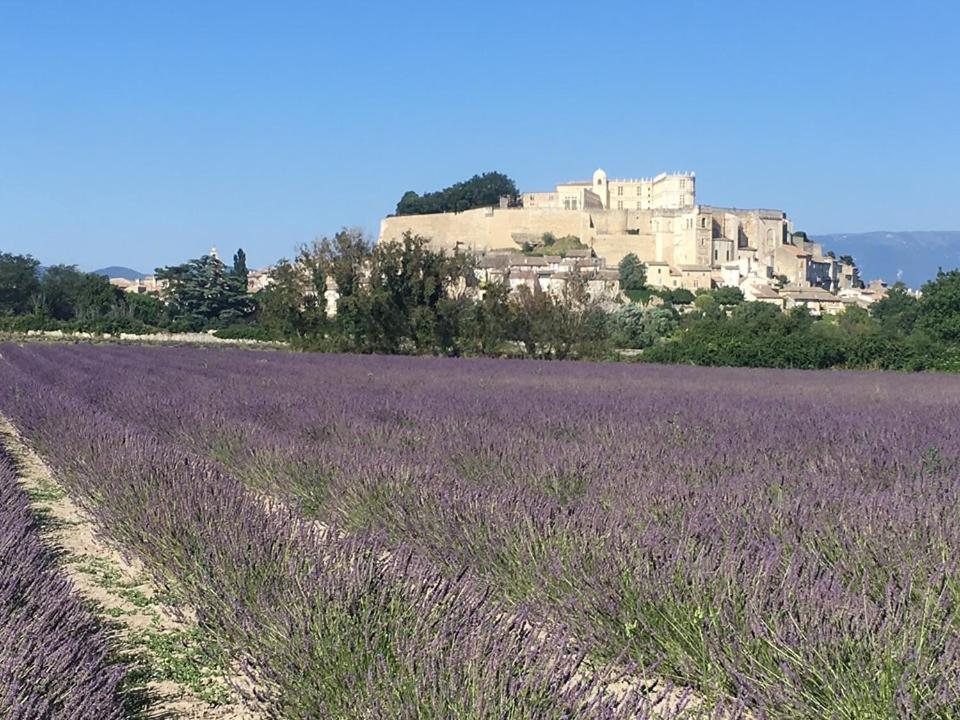 Le Mas Du Pigeonnier Réauville Buitenkant foto